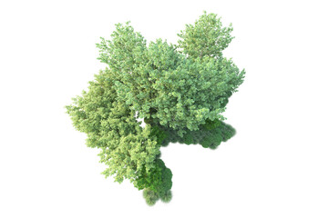 Fototapeta premium Green landscape isolated on transparent background. 3d rendering - illustration