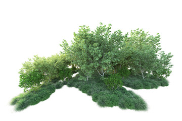 Obraz premium Green landscape isolated on transparent background. 3d rendering - illustration