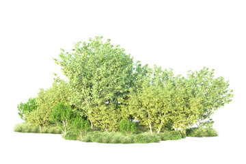 Obraz premium Green landscape isolated on transparent background. 3d rendering - illustration
