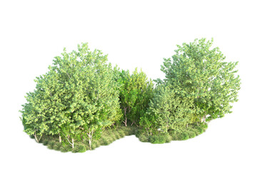 Green landscape isolated on transparent background. 3d rendering - illustration