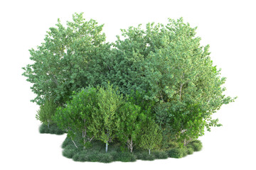 Fototapeta premium Green landscape isolated on transparent background. 3d rendering - illustration