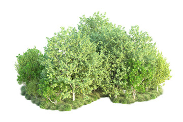 Obraz premium Green landscape isolated on transparent background. 3d rendering - illustration