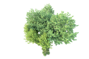 Green landscape isolated on transparent background. 3d rendering - illustration