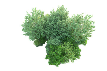 Green landscape isolated on transparent background. 3d rendering - illustration