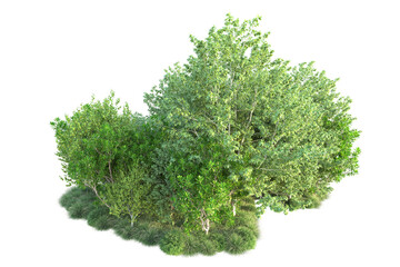 Obraz premium Green landscape isolated on transparent background. 3d rendering - illustration