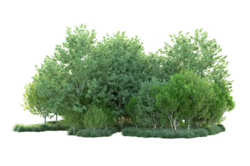 Zelfklevend Fotobehang Green landscape isolated on transparent background. 3d rendering - illustration © Cristian