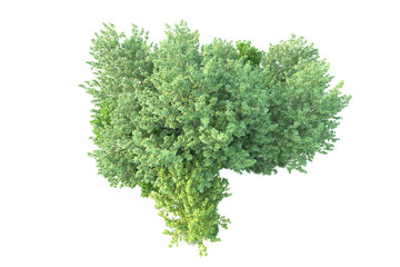 Obraz premium Green landscape isolated on transparent background. 3d rendering - illustration