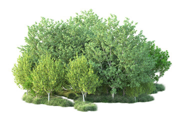 Obraz premium Green landscape isolated on transparent background. 3d rendering - illustration