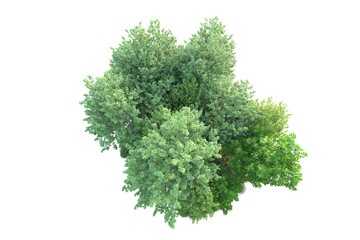 Fototapeta premium Green landscape isolated on transparent background. 3d rendering - illustration