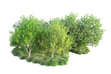 Obraz premium Green landscape isolated on transparent background. 3d rendering - illustration