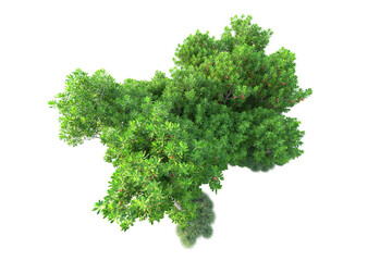 Green landscape isolated on transparent background. 3d rendering - illustration