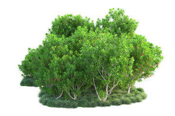 Green landscape isolated on transparent background. 3d rendering - illustration