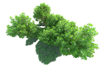 Green landscape isolated on transparent background. 3d rendering - illustration