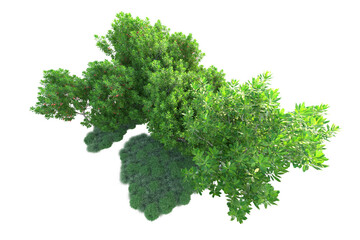 Green landscape isolated on transparent background. 3d rendering - illustration