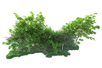 Green landscape isolated on transparent background. 3d rendering - illustration