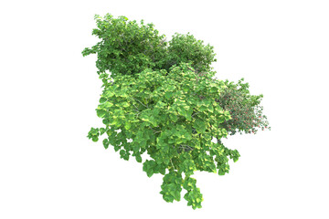 Obraz premium Green landscape isolated on transparent background. 3d rendering - illustration