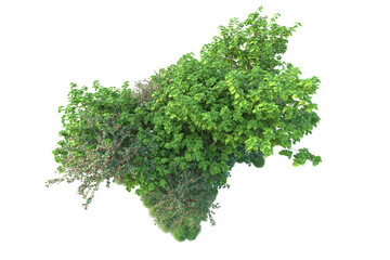 Obraz premium Green landscape isolated on transparent background. 3d rendering - illustration