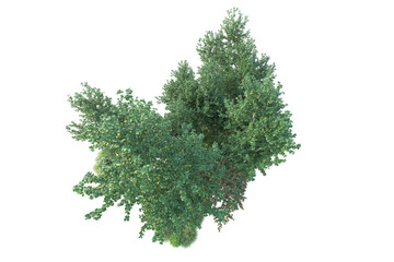 Green landscape isolated on transparent background. 3d rendering - illustration