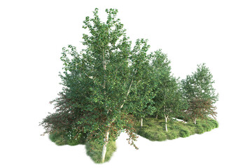 Green landscape isolated on transparent background. 3d rendering - illustration