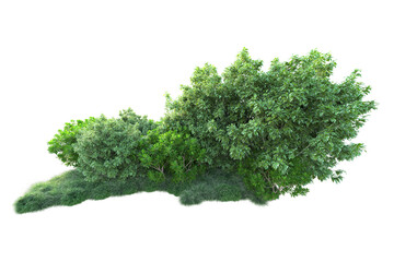 Obraz premium Green landscape isolated on transparent background. 3d rendering - illustration