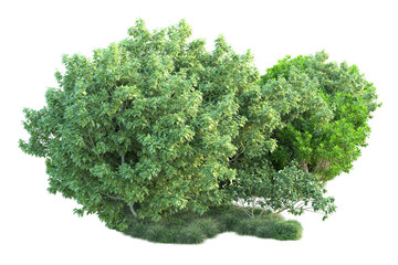 Fototapeta premium Green landscape isolated on transparent background. 3d rendering - illustration