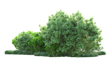 Green landscape isolated on transparent background. 3d rendering - illustration