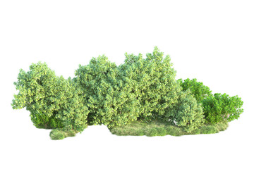 Obraz premium Green landscape isolated on transparent background. 3d rendering - illustration