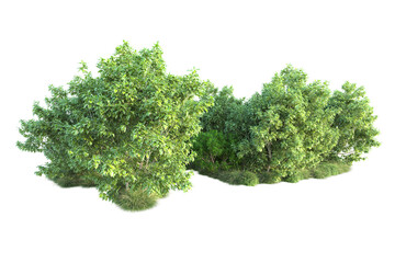Obraz premium Green landscape isolated on transparent background. 3d rendering - illustration