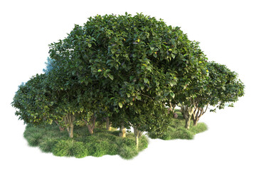 Fototapeta premium Green landscape isolated on transparent background. 3d rendering - illustration
