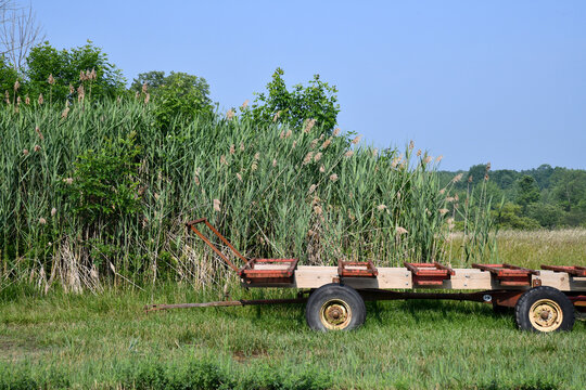 "Farm Wagon" Images – Browse 314,945 Stock Photos, Vectors, and Video