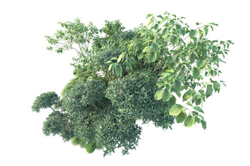 Obraz premium Green landscape isolated on transparent background. 3d rendering - illustration