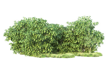 Obraz premium Green landscape isolated on transparent background. 3d rendering - illustration