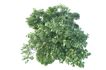 Obraz premium Green landscape isolated on transparent background. 3d rendering - illustration