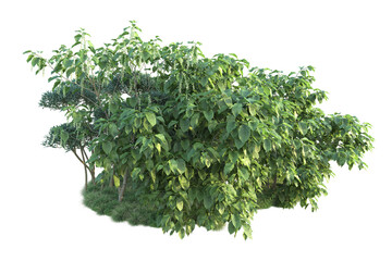 Naklejka premium Green landscape isolated on transparent background. 3d rendering - illustration