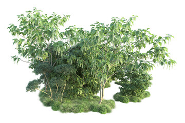 Green landscape isolated on transparent background. 3d rendering - illustration