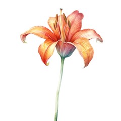 Watercolor illustration of a vibrant watercolor flower painting on a clean white canvas