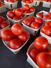fresh tomatoes at the market