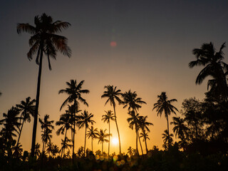 Obraz premium zanzibar