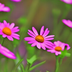 Obraz premium Colourful Daisy