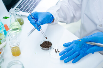 Concept of analysis of soil sample in botany laboratory. Biology technician taking material for...