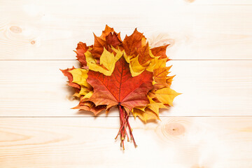 Autumn mood minimal background. Fallen autumn dried leaves on white wooden background. Colorful, variegated foliage. Flat lay, top view, copy space.