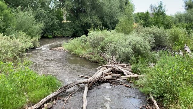 Cache La Poudre River Fort Collins Colorado