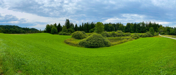 Ellbach_u_Kirchseemoor_4378