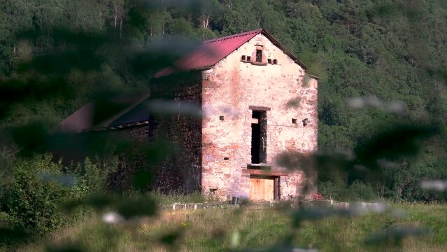 Abandoned old rural house in the forest