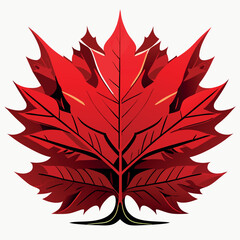 maple leaf illustration