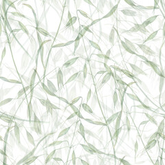 Herbal seamless pattern of wild oats. Watercolor illustration of avena isolated on transparent background. Simple ornate for scrapbooking, invitations, background, prints, textile, wrapping.