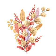 Bouquet of dried plants. Fluffy colorful lagurus, autumn herbs. Bunny tail, meadow branches. Composition isolated on transparent background. Watercolor illustration for card design, invitation