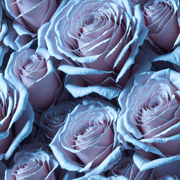 Blushing Ivory Roses!
