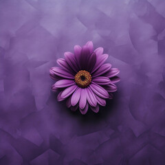 Purple flower on purple background