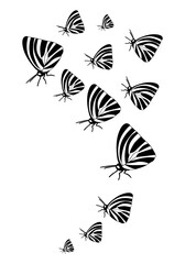Butterfly silhouette. Clipart vector isolated on white background